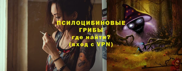 сатива Алексеевка