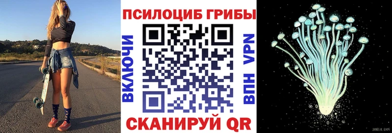 дарнет шоп Троицк Галлюциногенные грибы Psilocybe