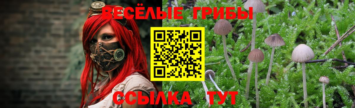 Галлюциногенные грибы ЛСД Троицк
