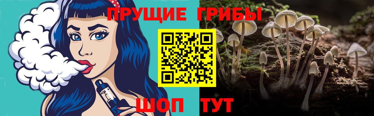 Псилоцибиновые грибы Magic Shrooms  Вход с VPN  Троицк 